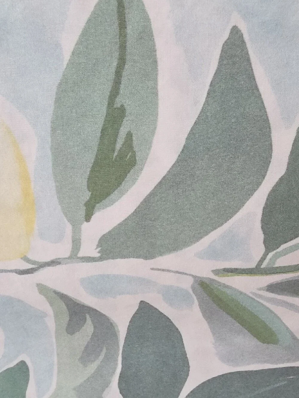 Pottery Barn Rebecca Atwood Lemon & Leaf Organic Cotton King Duvet Cover